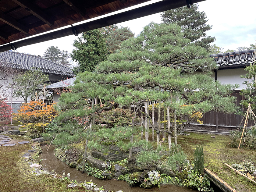 柱のない縁側からみた庭-成巽閣　金沢兼六園観光