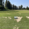 スワンゴルフクラブの芝から打てる練習場