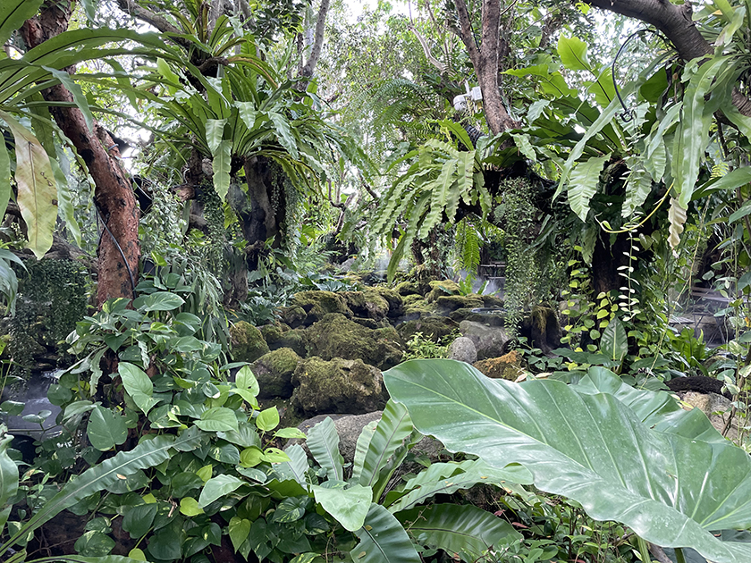 ミュゲ・ドゥ・カフェの庭