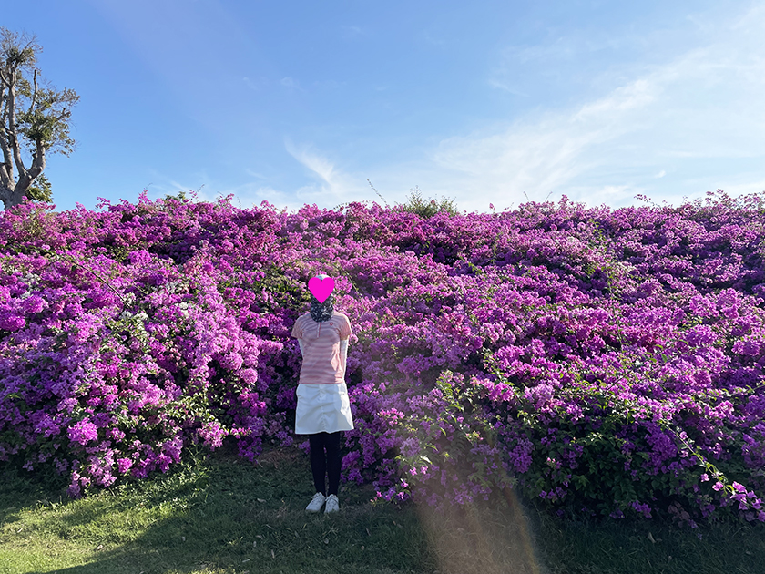 お花を背景に「チーチャンゴルフリゾート」