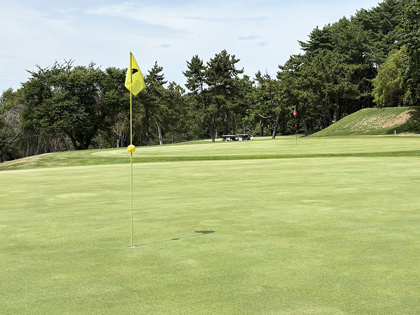 函館ゴルフ倶楽部、グリーンはふたつあります。