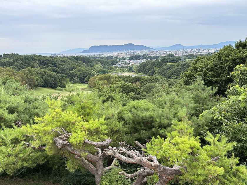 函館ゴルフ倶楽部、6番15番グリーンしか見えないティーイングエリア