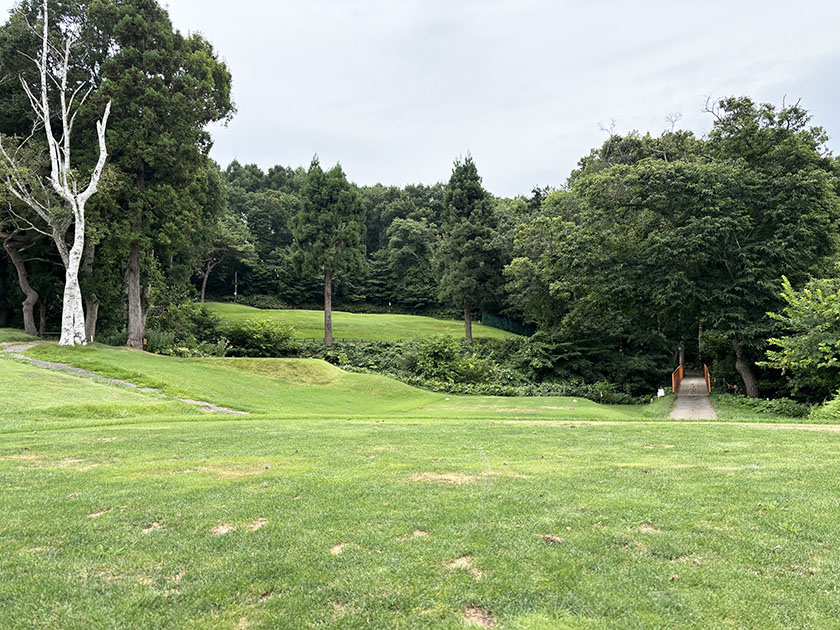 函館ゴルフ倶楽部、7番16番左右に木が気になる打ち上げのPAR3
