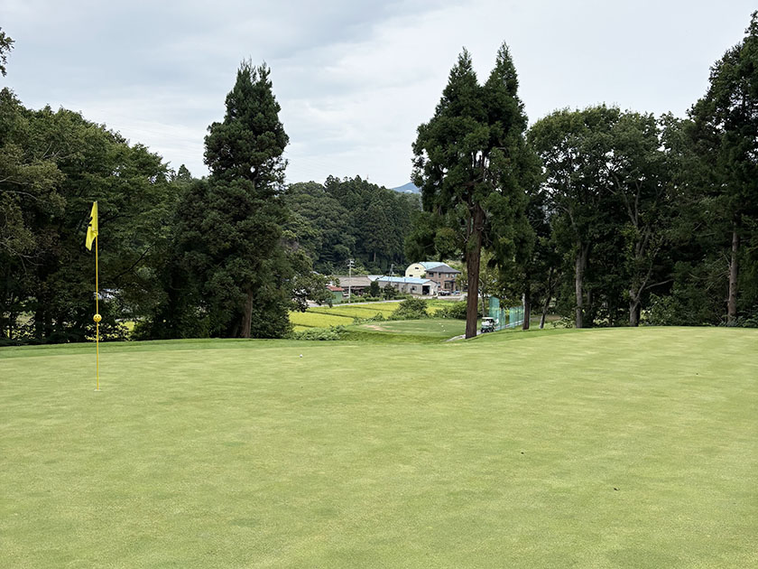 函館ゴルフ倶楽部、7番16番グリーンからの景色