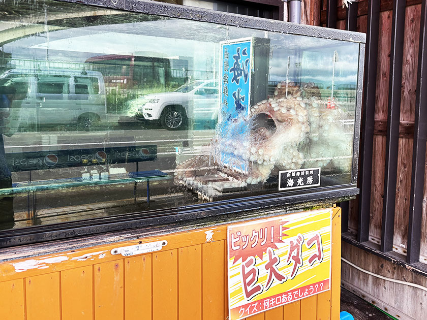 函館駅前散策、巨大タコ