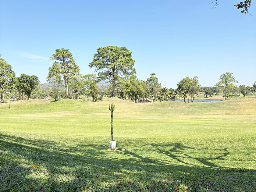 ヤード杭はサボテン　パタナゴルフ＆スポーツリゾート