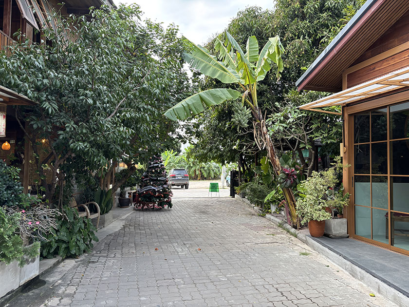 出入口　SENSU 扇子