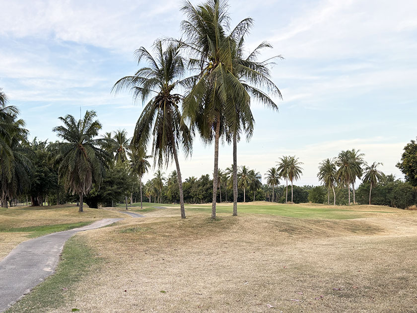 1番 マウンテンシャドウゴルフ