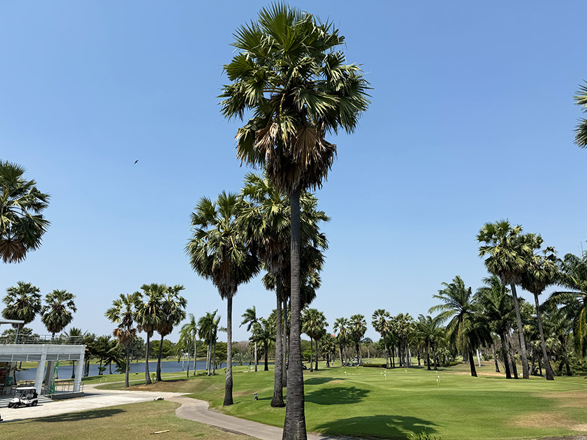 練習場 レイクウッドカントリー のりたま編