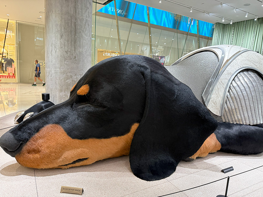 巨大ダックスフント　アイコンサイアム　のりたま編