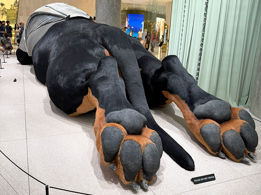 巨大ダックスフントの肉球チェック　アイコンサイアム　のりたま編