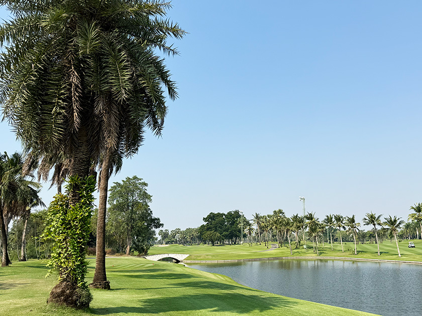 8番 スワンゴルフクラブ